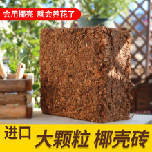 Ҭ��Ҭ�u�M�ڠI�B����Ҭ������N���N��˼����Ҭ�Ӛ�������Ҭ���u