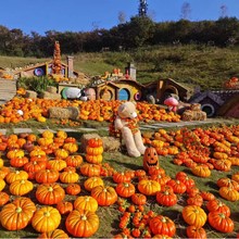 仿真南瓜 万圣节南瓜复活节 南瓜装饰泡沫 假南瓜 道具厂家直销