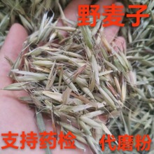 ������ ��ș�� Ұ���Ӛ� ������ Ұ���� ����Ұ С����ȸ��