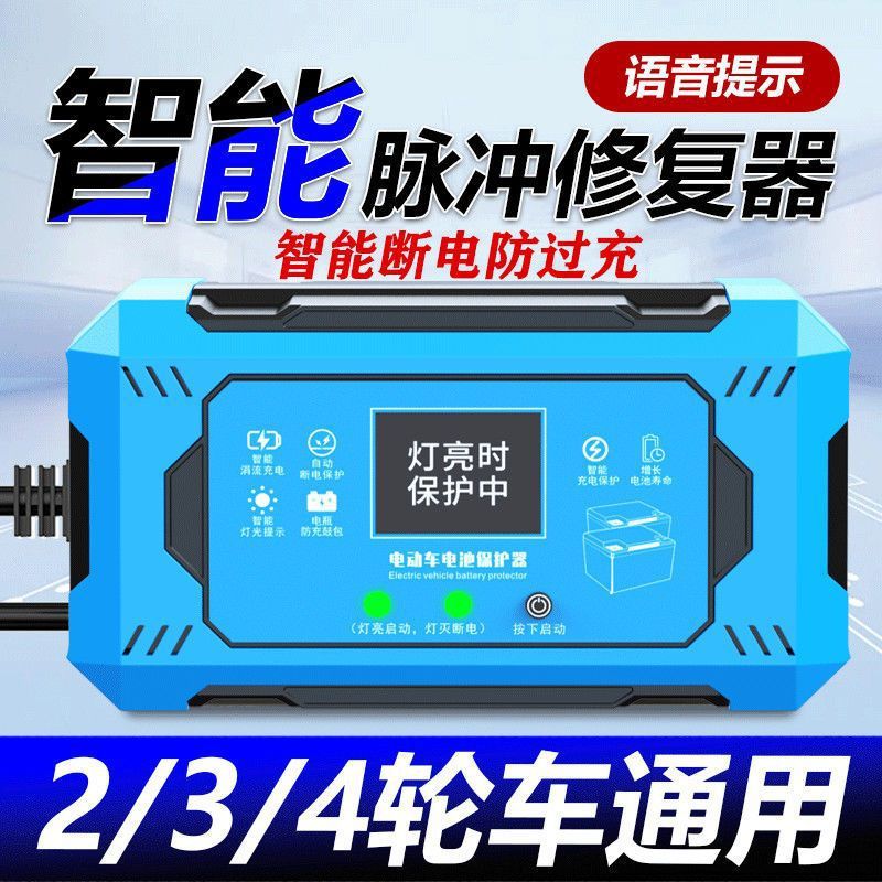 Electric Vehicle Battery Repairer Activates and Extends Battery Life, Pulse Charger, Electric Repairer, Universal Type