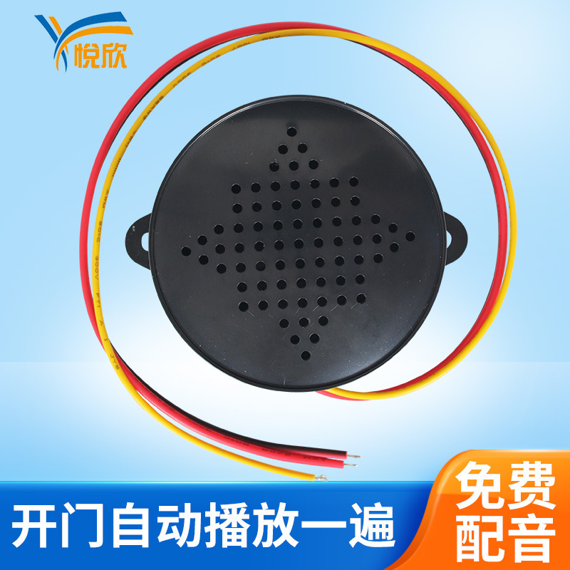 Yx65 Door Entry Voice Announcement Access Control Magnetic Lock Electric Bolt Lock Voice Prompt Reminder with Customizable Sound Mp3