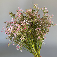 ����M�����S�L�����ϻ��ҾӲ����b�ˇ���仨ƿ��������С����