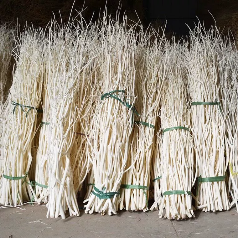 Тройничное дерево Виноградная ваза аксессуары Внутренние ветви натуральные мертвые ветви сушеные цветы украшения для гостиной производители оптом