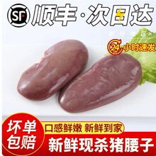 顺丰包邮冷冻生鲜猪腰猪肾食用猪腰子新鲜速冻猪腰饭店家庭食材