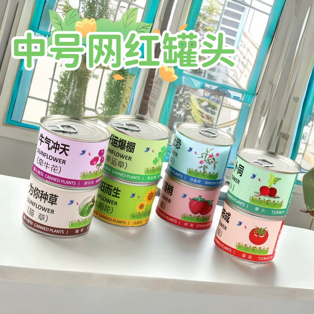 Средняя чистая красная благословение в горшке детская поделка для посадки Слепая Коробка для наблюдения за растениями фрукты и овощи научное образование студенческие игрушки