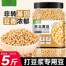 黄豆25年农家新货打豆浆生豆芽豆子大豆五谷杂粮