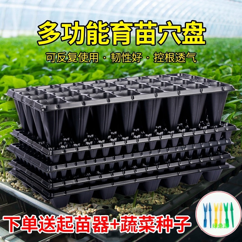 育苗盘育苗盘蔬菜培育塑料穴盘多肉林木加深苗木盆秧盘育苗盆托盘
