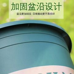 Thickened Plastic Resin Gallon Planter Large Green Plant Succulent Pothos Balcony Planter