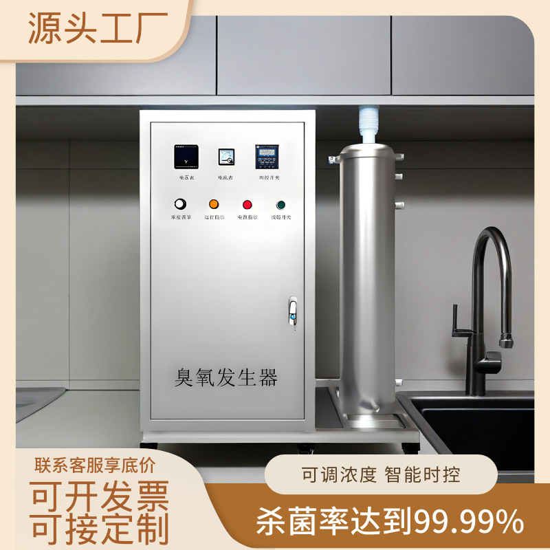 100g Large Industrial Ozone Generator Water Treatment Laboratory Ozone Disinfection Machine Farm Commercial Food Factory