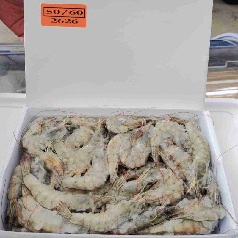 包邮桑塔盐冻厄瓜多尔南虾对虾白虾餐饮火锅酒店食材一件代发团购