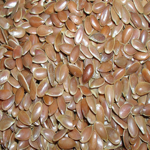 ��؛��ș�ā����� ������ ������ ����� 500��8Ԫ