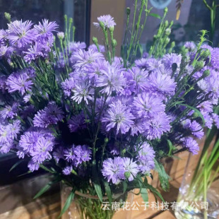 ��ȸ�� ����r����ȸ���ذ���Է�����r�л����l