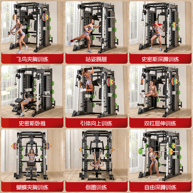 Equipo de entrenamiento integrado profesional de Smith multifunción combinado de gimnasio doméstico pájaro en cuclillas pórtico