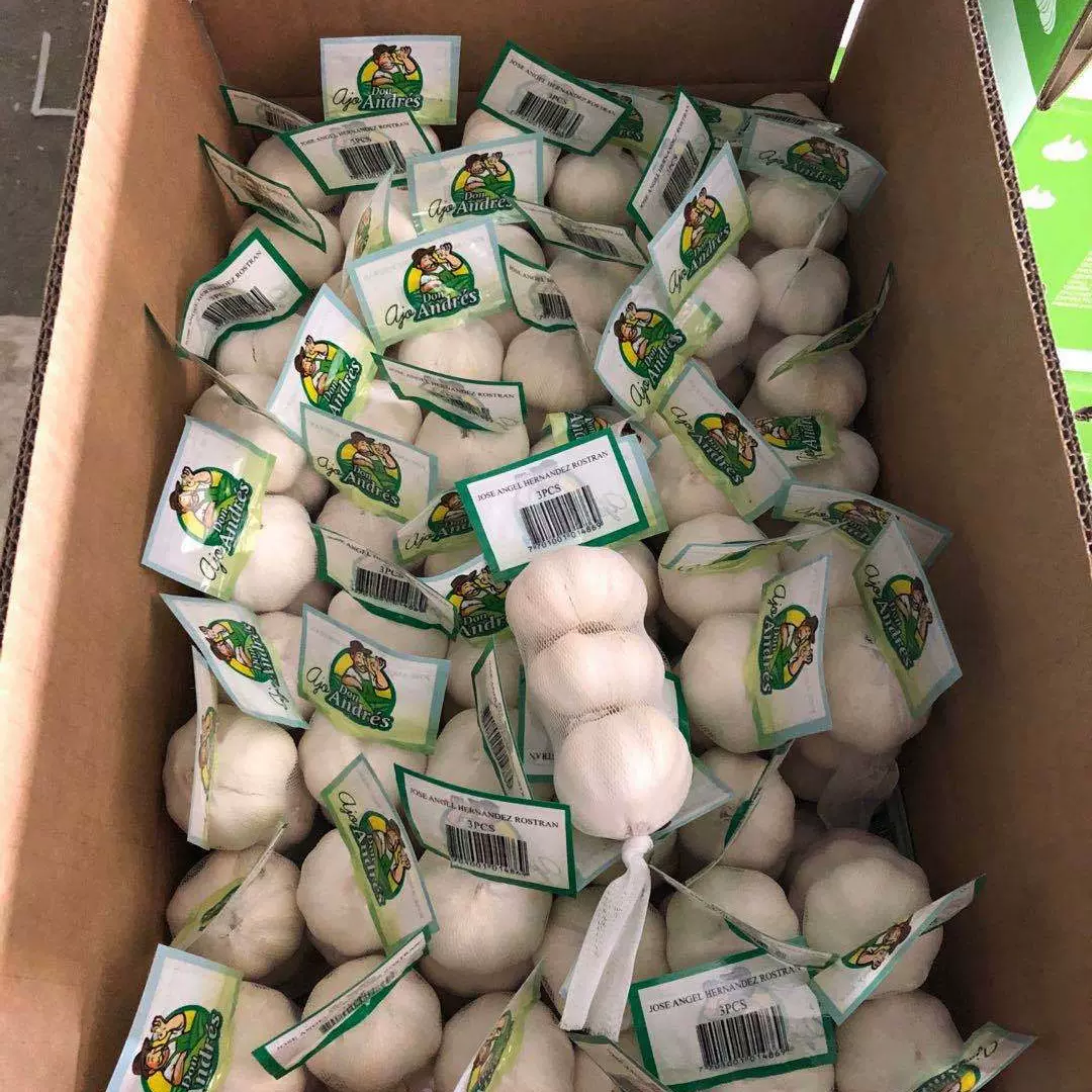 出口尼加拉瓜纯白大蒜4.5cm金乡大蒜3P/4P/225G/450G厂家直供pure