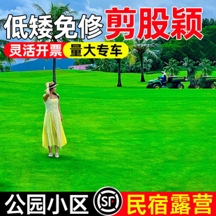 ���ɷfa4���ز�ƺ����ͥԺ�e���ļ����ఫ����Ƥ�N�����޼��Ͳ�̤