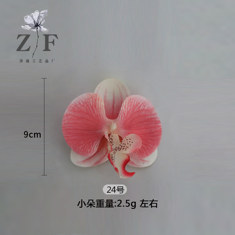 24호(소)