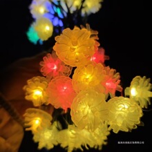 LED����̫����ɹ��ɻ�ͥԺ�̨���@�����}�Q��ˮ�Շ��bʟ���