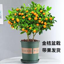 �ļ���ۘ������Կ͏d��ֲؔ��С���ӾGֲ�辰�����҃Ȼ���������