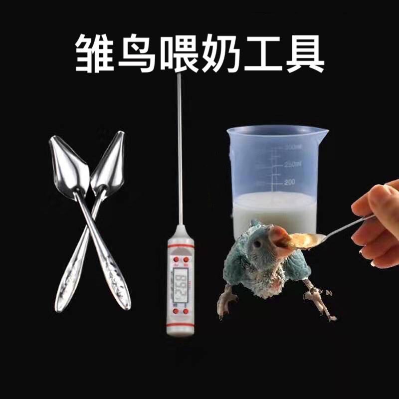 Young Bird Fedrior Fedrior Five Birds Fedback Something Tools Hand…