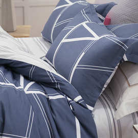 戴洛伦纯棉四件套DRON-JT6201