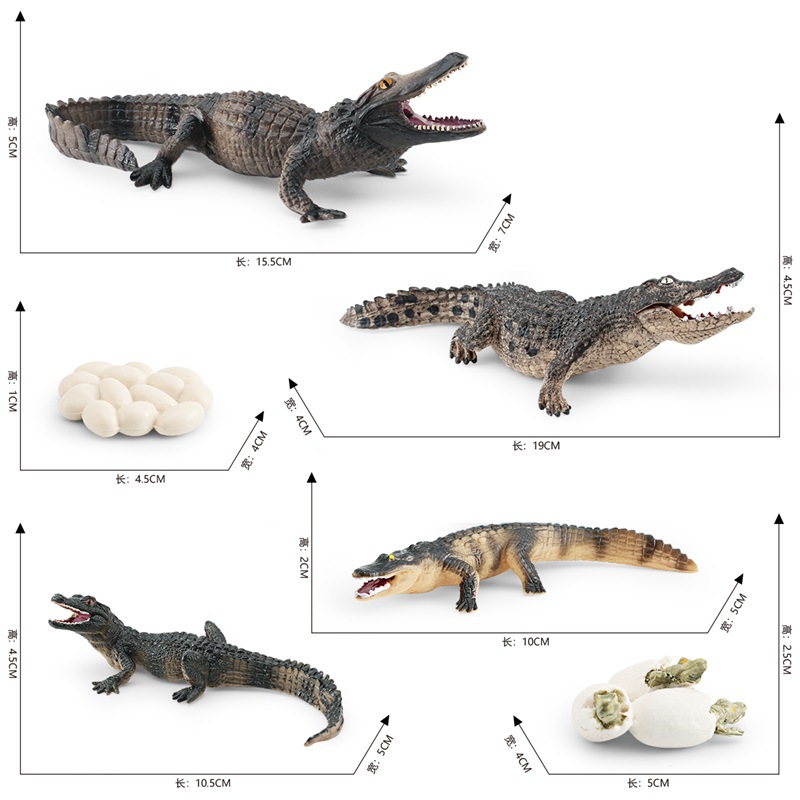 Amazon simulación bosque animal cocodrilo modelo de ciclo de crecimiento de los niños cognición proceso de crecimiento del cocodrilo chino adornos
