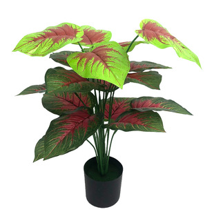 tо Gֲ˽ ҃ȼҾb辰ĔzSl