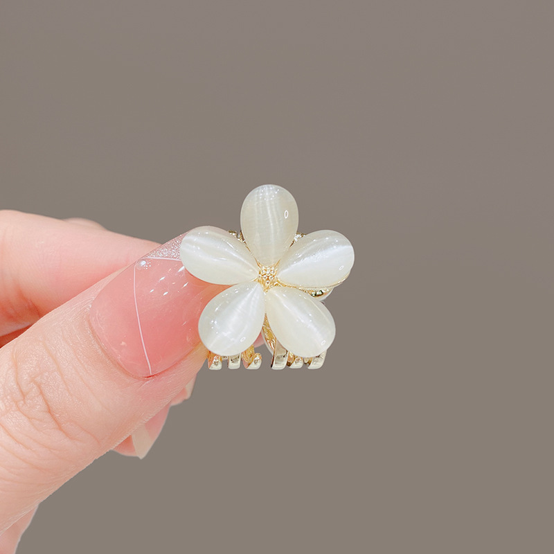 Ojo de gato flores pequeñas-oro