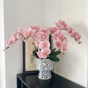 �󻨺����m��С���ļ�ֲ�ﻨ���ļ��҃������k����ֲ��