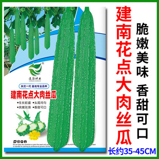 ���ϴ��⻨�c�z�ϷN������߮a������������z�ϷN�Ӵ����߲˷N��