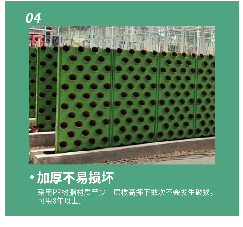 双面墙体栽培_12.jpg