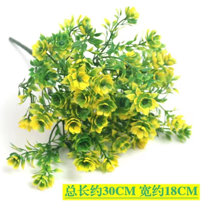 微信图片_20220923104524