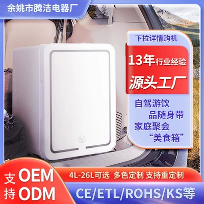 4L Mirror Car Refrigerator Large Soyuducular