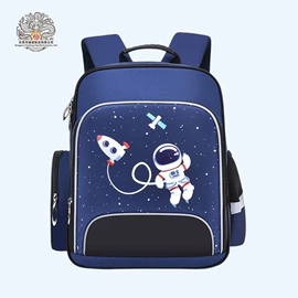 休闲背包;商务背包;通用双肩背包