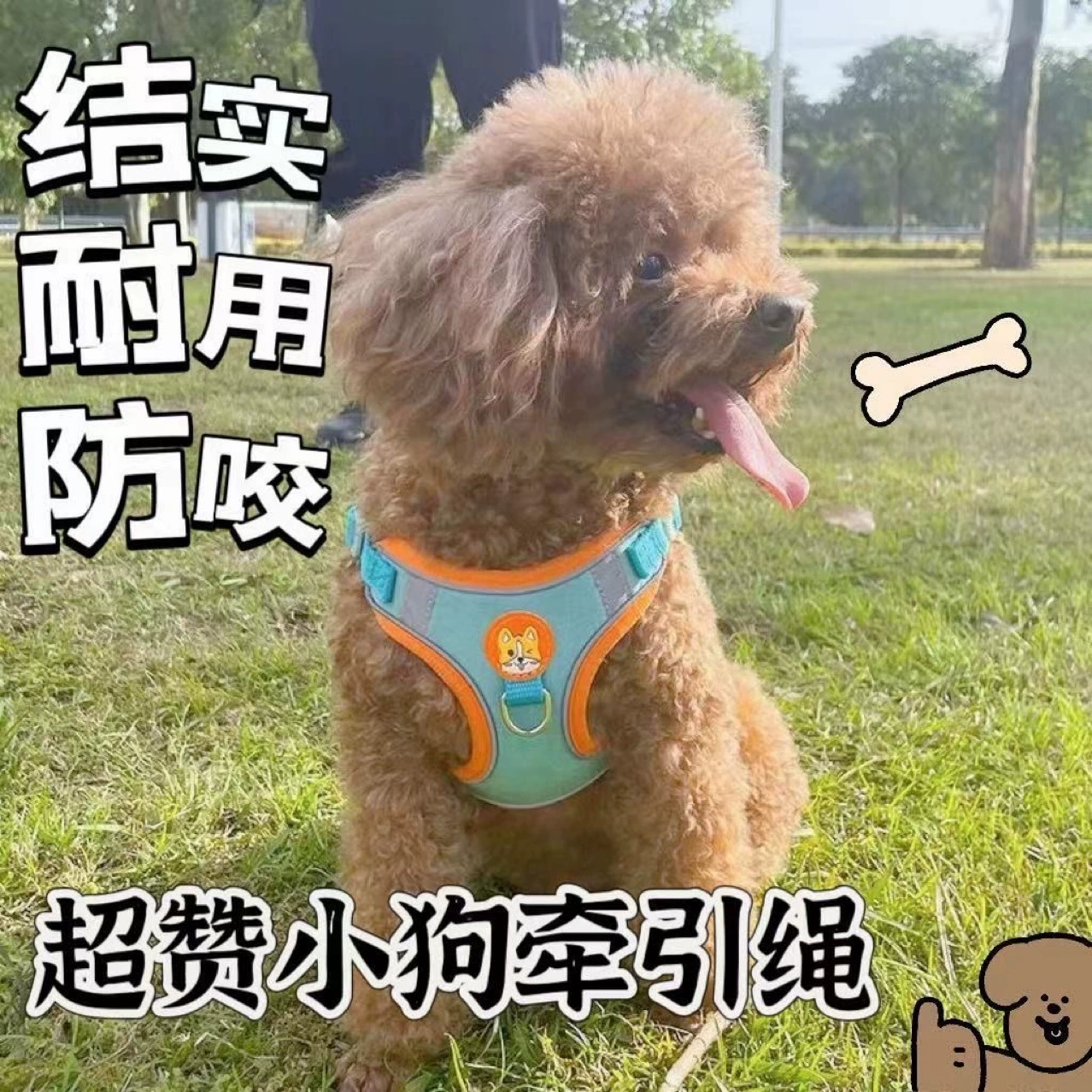 Собачий тяговый канат, веревка, выгул, веревка, тедди, додо, коки, средняя собака, маленькая собака, домашняя собака, используя шею