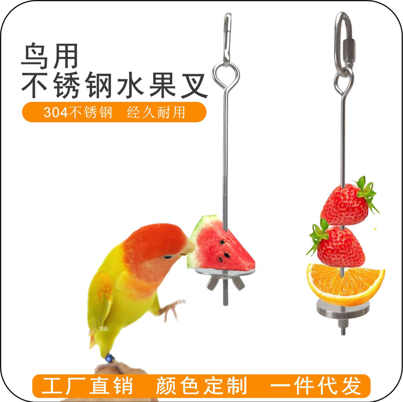 Bird parrot fruit fork 304 stainless steel vegetable corn hook fruit clip feeder toy bird supplies
