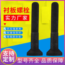 工厂定制椭圆头球磨机衬板螺栓高强度异形栓8.8级鹅蛋丝扇形面螺