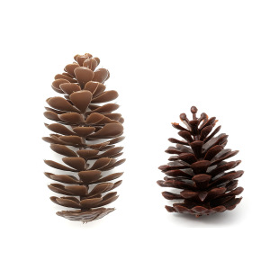 ɹֲ滨}Q}Qhbɹˮ