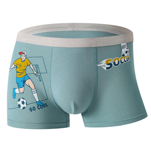 Men's Underwear for Teenage Boys, 14-Year-Old Male Students, Developmental Stage, Pure Cotton, For High School and Junior High School Students, Boys' Underpants and Shorts