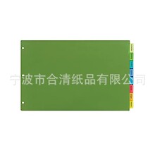 8 tabs dividers �ָ�퓲�ɫ�t�S�{�G�����A�TᔊA�R�����ļ��A