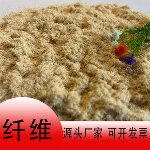 �F؛����ľ�|�w�S���{�켈���Bā�ӷ��w�S����������ľ�|�w�S����