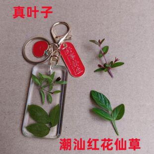 ���Ǽt���ɲ�耳׿�ƽ�����������ɫ�ɻ�耳׿ۼt�K��܇Ħ�В��