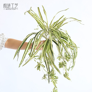 ������m��ֲ�����G�~����bҒ�پGֲ�ٗl�ٵ����m�~