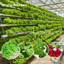 ����PVCˮ�����Ϸ��ܷNֲ���߲˹ܵ�ʽƽ�װ�ɫ�ܵ��̨�Nֲ