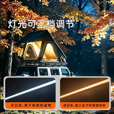 design for outdoor camping — Avtomobil dam çadırları