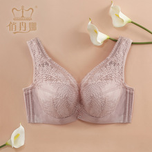 �����@С�{���̓���͸�ⱡ������CDEFȫ�ֱ��������������S�����l