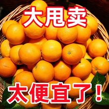 橙子湖南麻阳冰糖橙薄皮应季新鲜水果脐橙爱媛果冻橙批发厂家代发