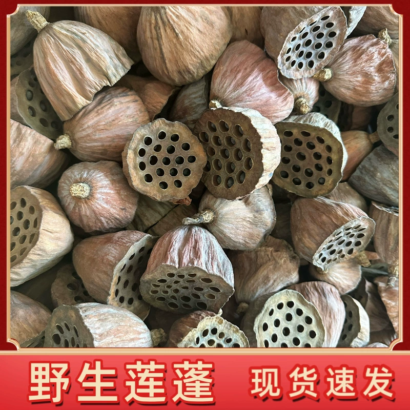 Сухой цветок имитация цветок с семенами маленькое растение лотоса ремесла Лотос сушеный цветок ремесла декоративный цветок лотоса