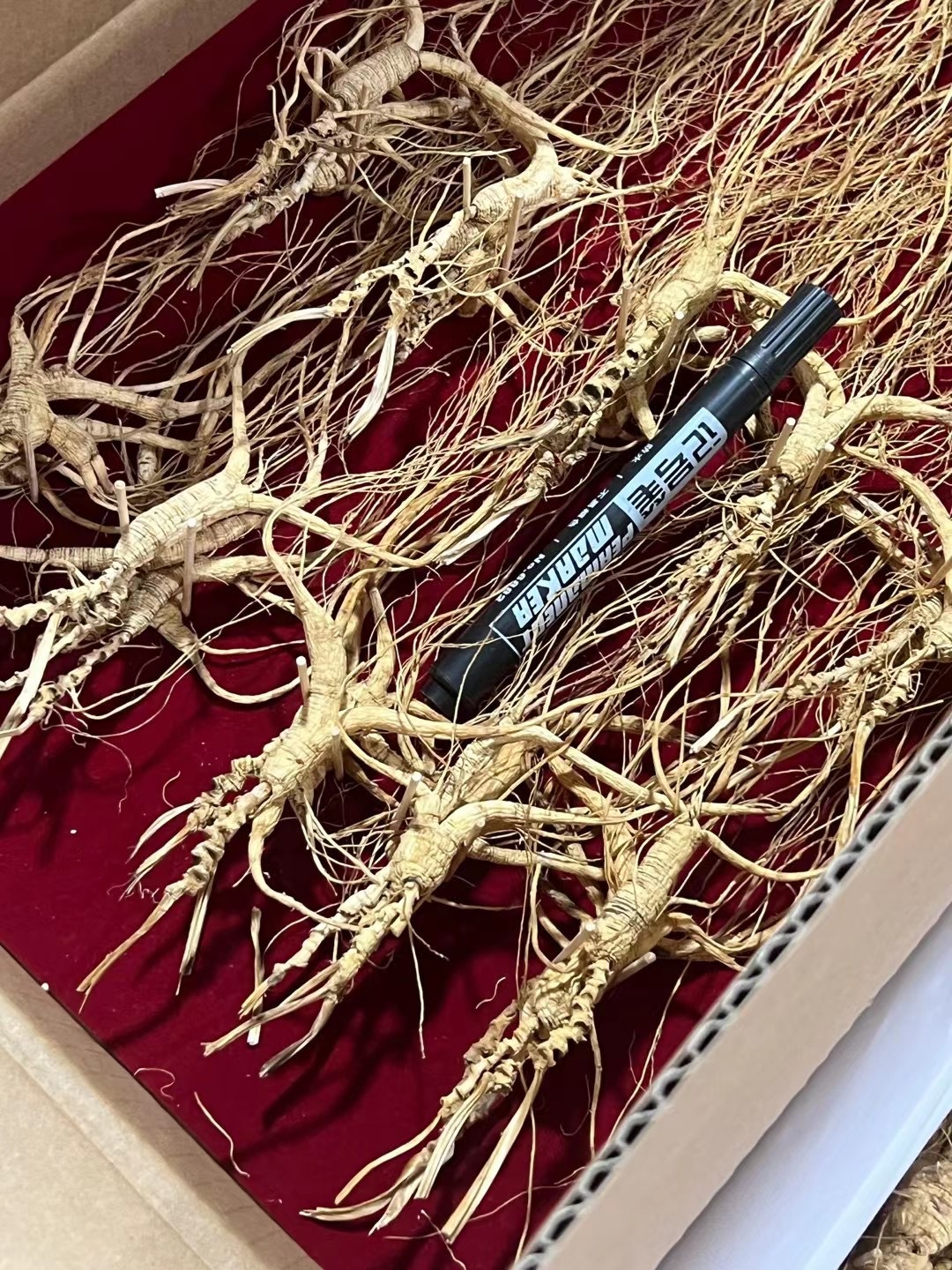 BA7541E4-D4D9-43FB-AA69-FCF24A