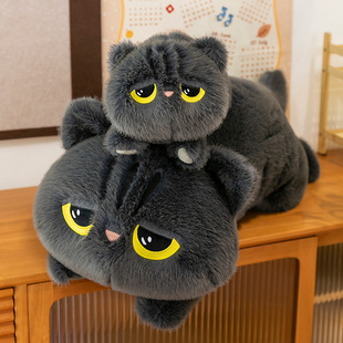 �ɐ�ſ�˺�؈��ż������Ů����A��˯�X�L�l؈��ë�q����Ů���Y��