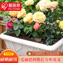 花架長方形花盆陽台護欄欄桿鐵藝掛架掛式懸掛壁掛陽台種菜架子